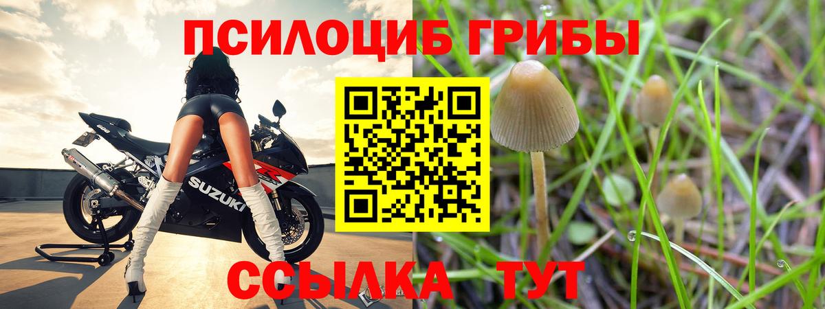 Галлюциногенные грибы MAGIC MUSHROOMS  Галлюциногенные грибы мухоморы  Усть-Илимск  что такое наркотик  Вход с VPN 
